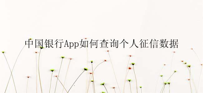 中国银行App如何查询个人征信数据