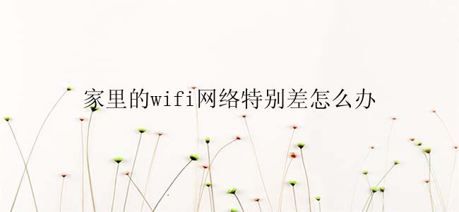 家里的wifi网络特别差怎么办