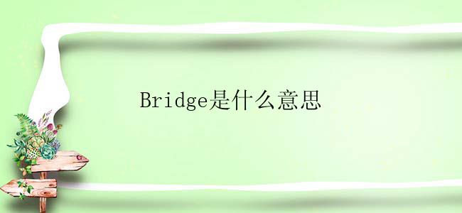 Bridge是什么意思