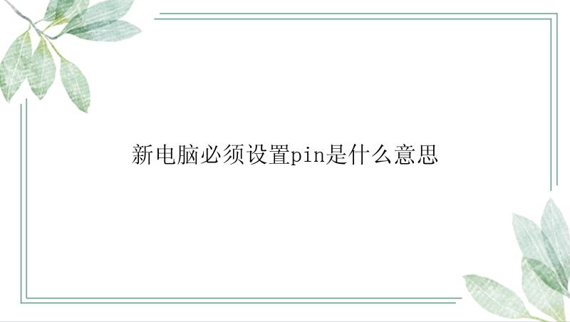 新电脑必须设置pin是什么意思