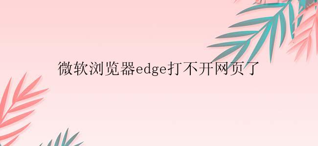 微软浏览器edge打不开网页了