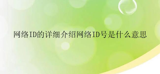 网络ID的详细介绍网络ID号是什么意思