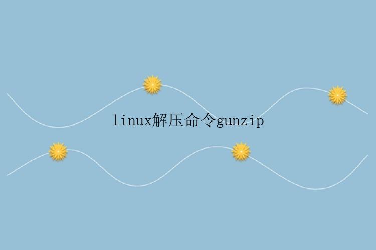 linux解压命令gunzip