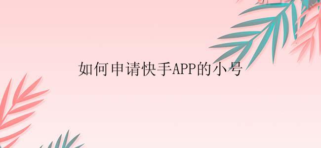 如何申请快手APP的小号