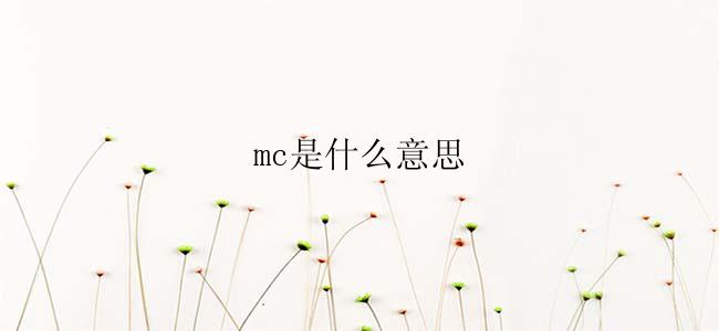 mc是什么意思