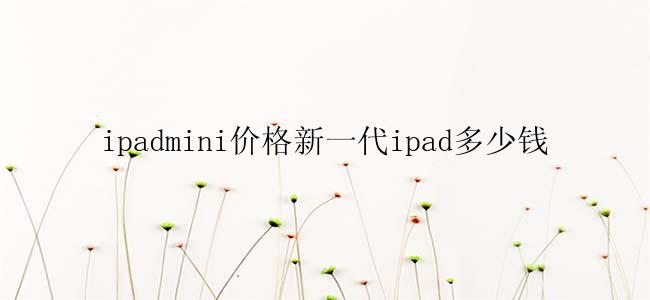 ipadmini价格新一代ipad多少钱