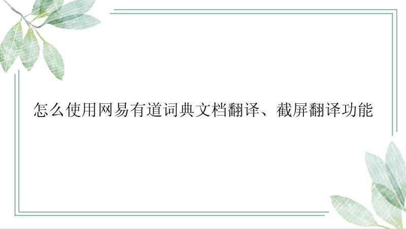 怎么使用网易有道词典文档翻译、截屏翻译功能