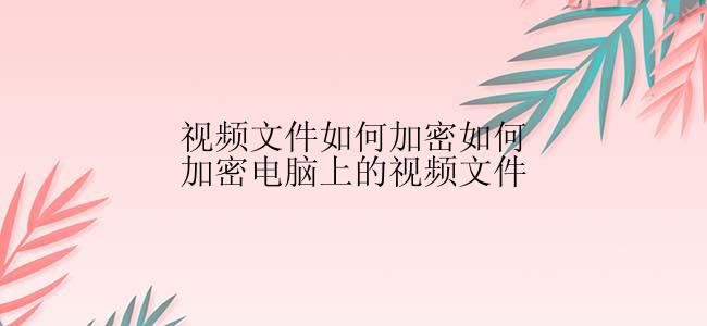视频文件如何加密如何加密电脑上的视频文件