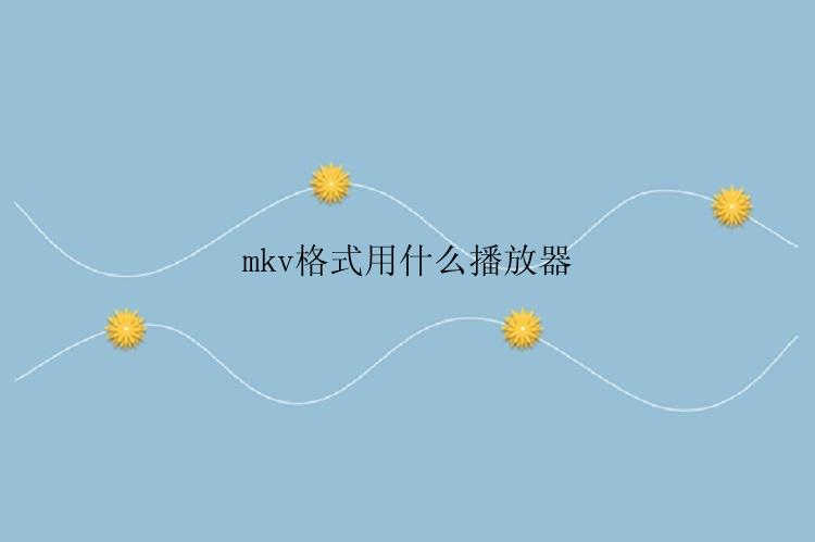 mkv格式用什么播放器