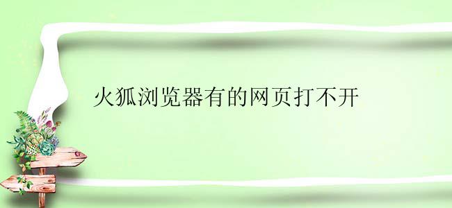 火狐浏览器有的网页打不开