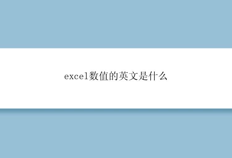 excel数值的英文是什么