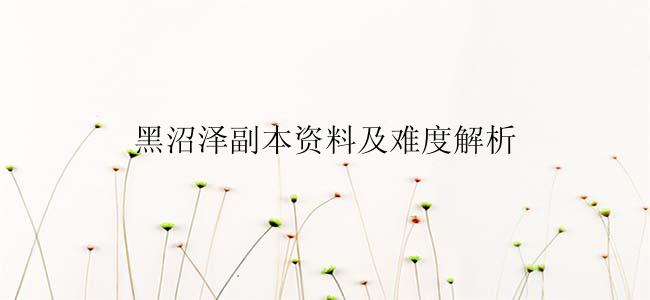 黑沼泽副本资料及难度解析