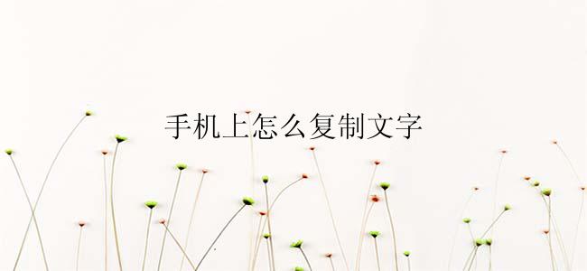 手机上怎么复制文字