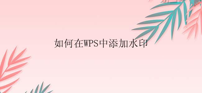 如何在WPS中添加水印