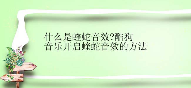 什么是蝰蛇音效?酷狗音乐开启蝰蛇音效的方法