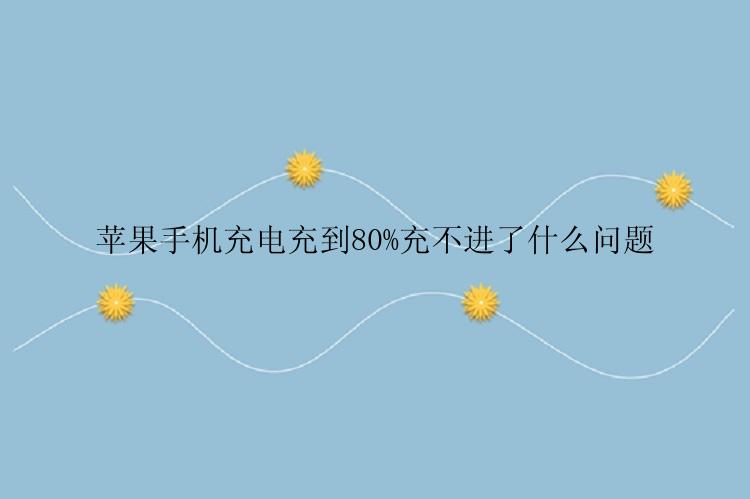 苹果手机充电充到80%充不进了什么问题