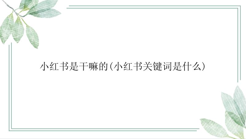 小红书是干嘛的(小红书关键词是什么)