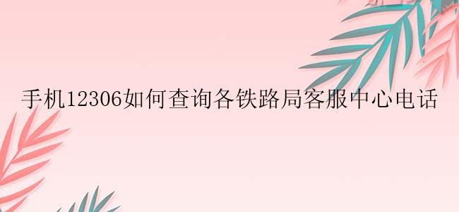 手机12306如何查询各铁路局客服中心电话