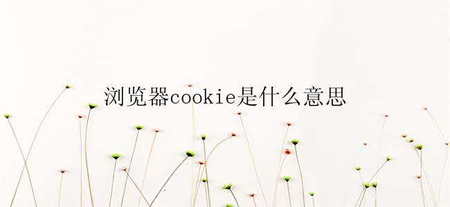 浏览器cookie是什么意思