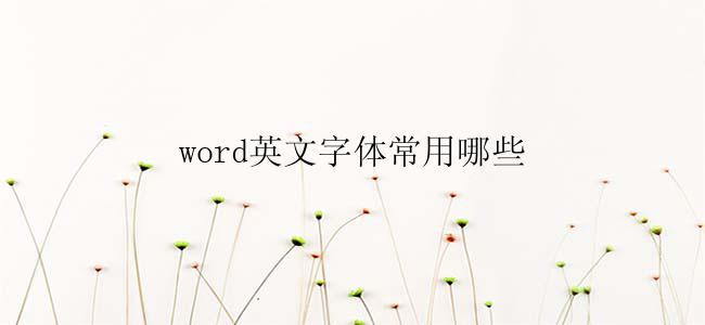 word英文字体常用哪些