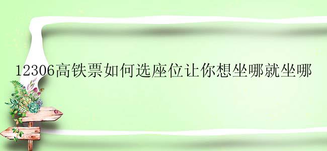 12306高铁票如何选座位让你想坐哪就坐哪