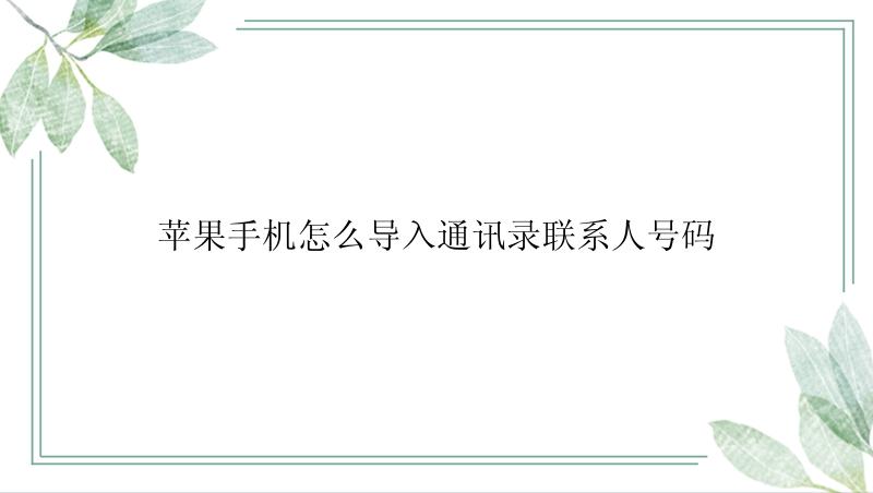 苹果手机怎么导入通讯录联系人号码