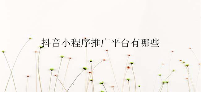 抖音小程序推广平台有哪些