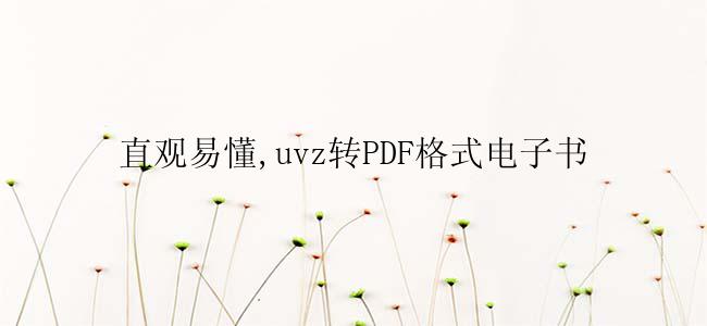 直观易懂,uvz转PDF格式电子书