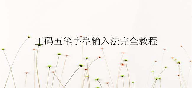 王码五笔字型输入法完全教程