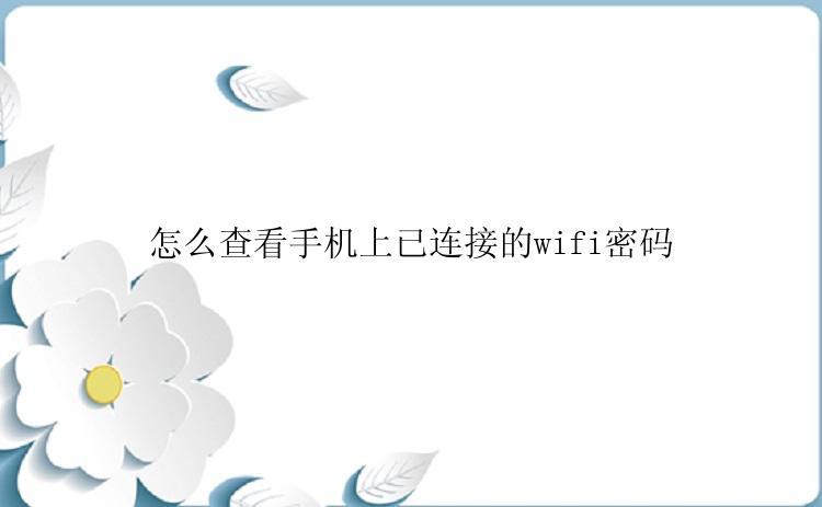 怎么查看手机上已连接的wifi密码