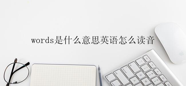 words是什么意思英语怎么读音