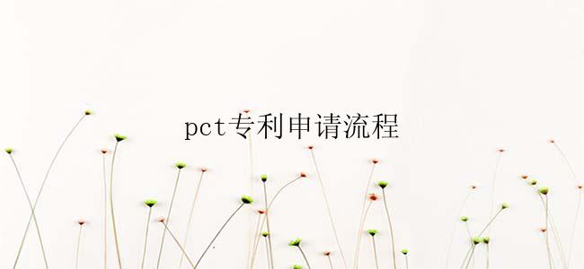 pct专利申请流程