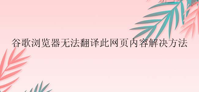 谷歌浏览器无法翻译此网页内容解决方法