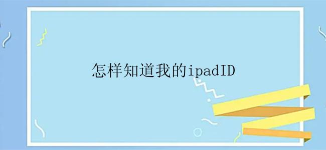 怎样知道我的ipadID