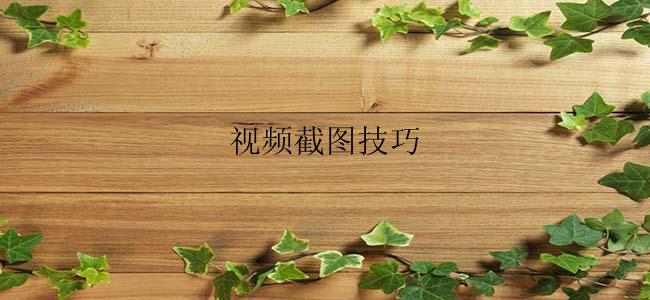 视频截图技巧