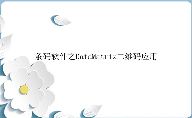 条码软件之DataMatrix二维码应用