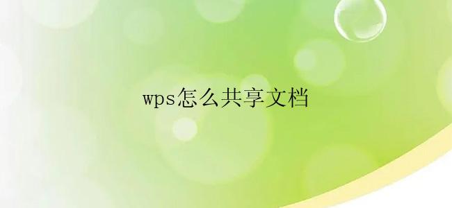 wps怎么共享文档