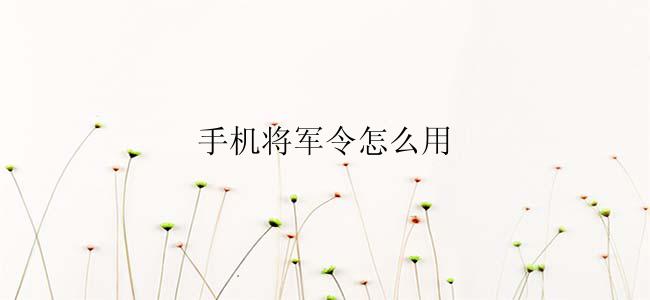 手机将军令怎么用