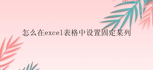 怎么在excel表格中设置固定某列