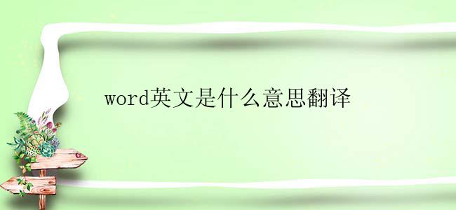 word英文是什么意思翻译