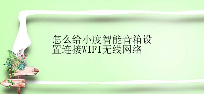 怎么给小度智能音箱设置连接WIFI无线网络