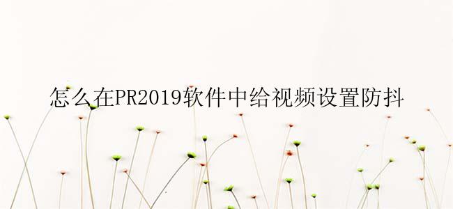 怎么在PR2019软件中给视频设置防抖