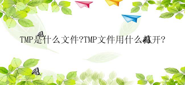 TMP是什么文件?TMP文件用什么打开?