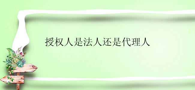 授权人是法人还是代理人