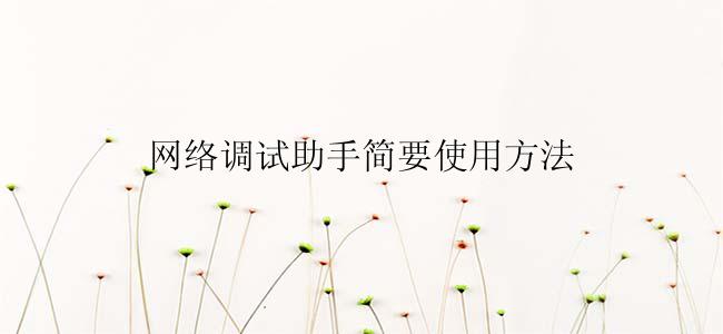 网络调试助手简要使用方法