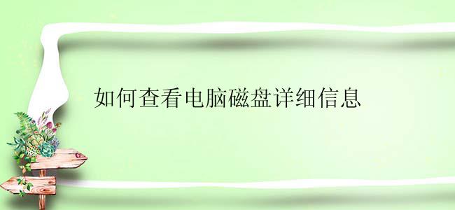 如何查看电脑磁盘详细信息