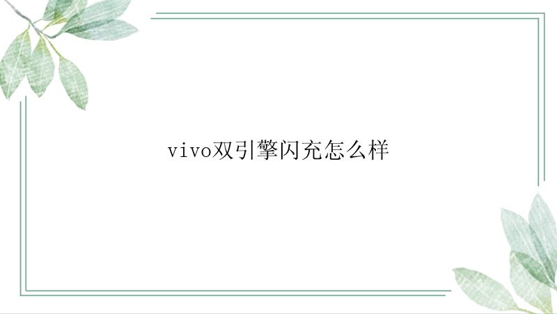 vivo双引擎闪充怎么样