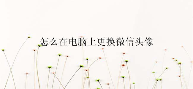 怎么在电脑上更换微信头像