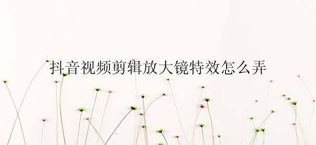 抖音视频剪辑放大镜特效怎么弄