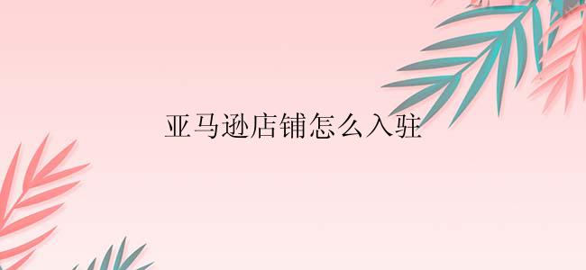 亚马逊店铺怎么入驻